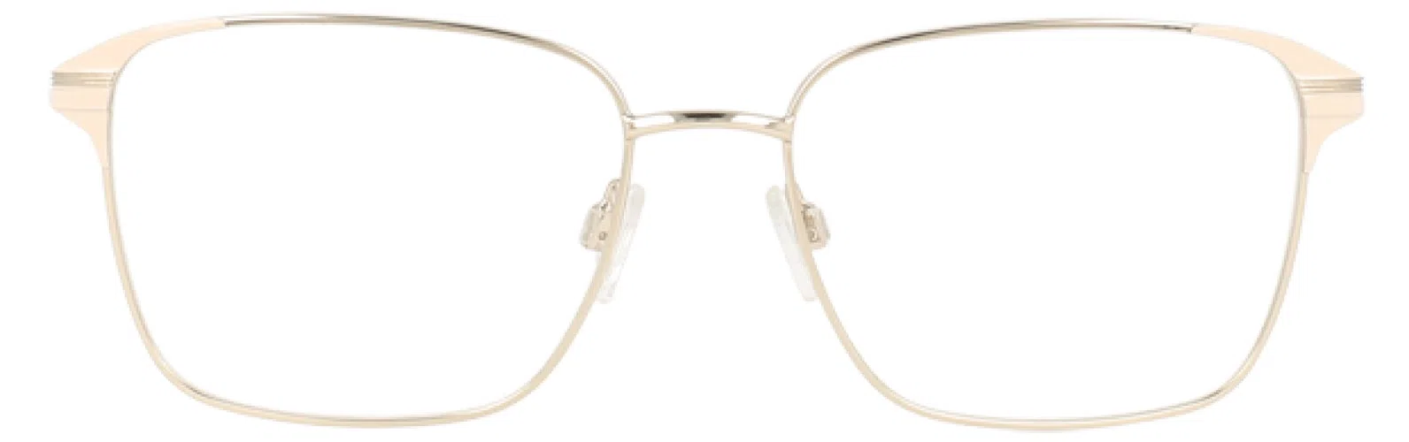 Via Spiga VSOrlanda Eyeglasses - Black/gold - view 11